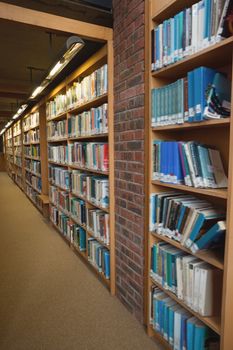Row of bookshelves filled with books in a library