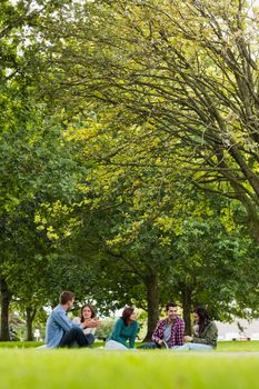 Group of young college students sitting on grass in the park