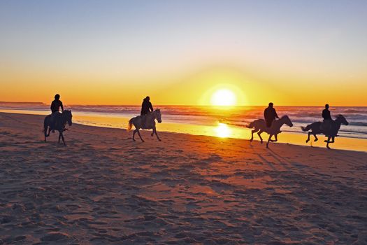 Horse riding on the beach at sunset