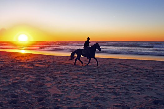 Horse riding on the beach at sunset