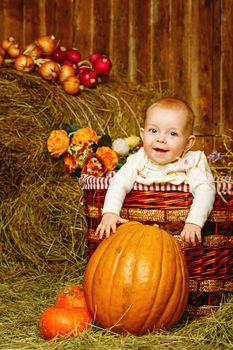 Little red-haired girl sitting in wicker basket and pulls her hands to big ripe pumpkin