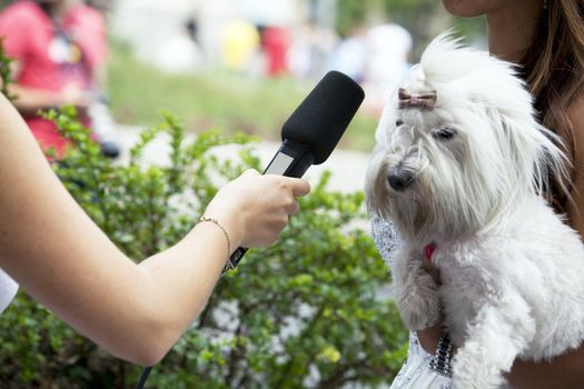 A journalist is making a interview with a microphone