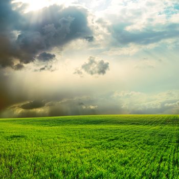 dramatic sky over green grass field