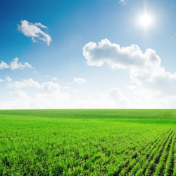 sun in blue sky with clouds and green field