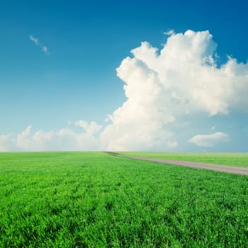 clouds in blue sky over green grass