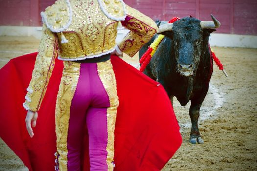 The bull stares at the torero during a bullfight in Madrid. Plaza de Toros de las Ventas. Spain