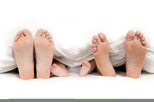 Mother Father and Baby Feet under Blanket isolated on white background