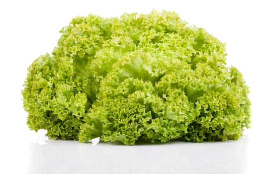 Fresh green Lettuce salad, isolated on white background