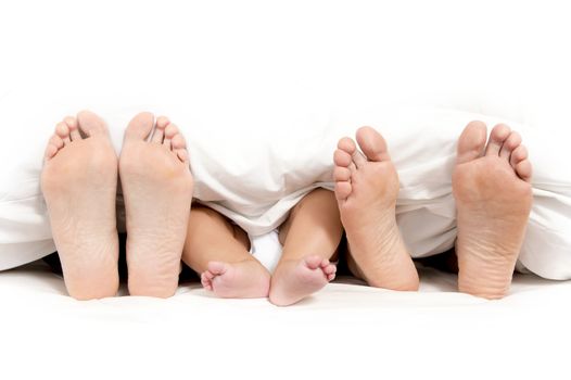 Mother Father and Baby Feet under Blanket isolated on white background