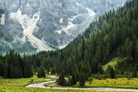Forest and river in the Venegia Valley, Dolomiti - Italy