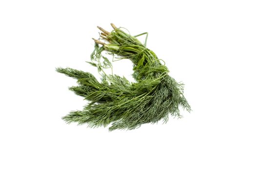 Fresh Green Dill on white background