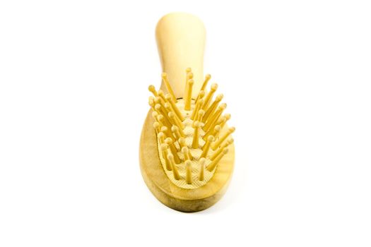 Massage Brush on white background