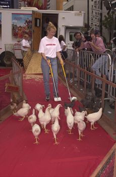 Chickens on the run at the premiere of Dreamwork's CHICKEN RUN in Hollywood, 06-17-00