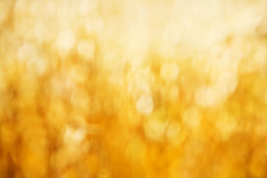 golden bokeh