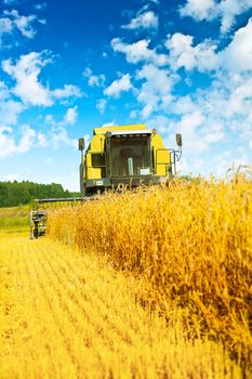 combine harvester in work