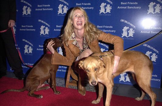 Laura Dern at the 2000 Lint Roller "Dear To Wear Black" party to benefit the Best Friends Animal Sanctuary, Hollywood, 11-16-00