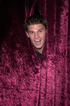 David Boreanaz at the Glamour Magazine Pre-Emmy Party, La Boheme, 09-09-00