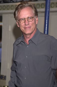 James Woods at the premiere of Paramount's "LARA CROFT: TOMB RAIDER" at Mann's Village Theater, Westwood, 06-11-01