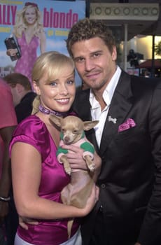 Jaime Bergman and David Boreanaz at the premiere of MGM's "Legally Blonde" at Mann's Village Theater, Westwood, 06-26-01