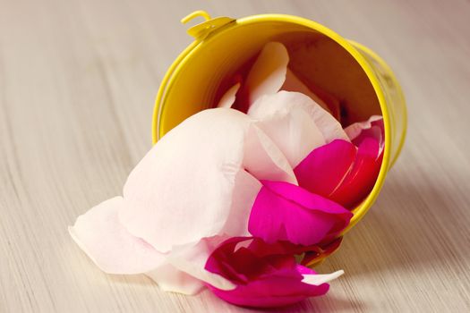 tin bucket filled with rose petals to throw