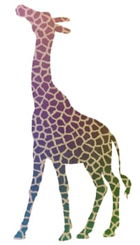 Illustration of an abstract isolated Giraffe