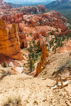 spectacular Hoodoo rock spires of Bryce Canyon, Utah, USA