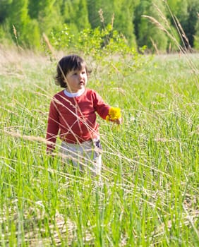 Little girl walking on meadow