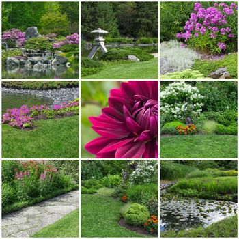 Beautiful blooming summer gardens. Collection of 9 images.