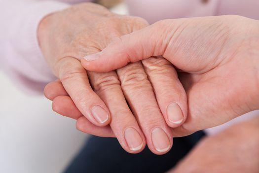 Young Woman Holding Senior Woman's Hand; Indoor