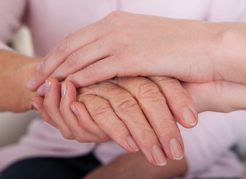 Young Woman Holding Senior Woman's Hand; Indoor