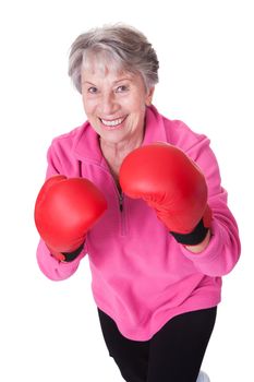 Portrait Of Senior Female Boxer Isolated On White Background
