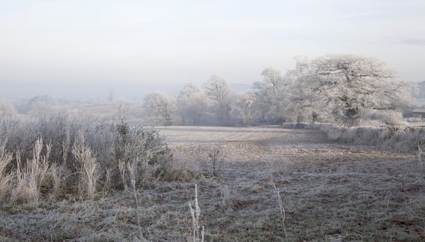 Rural countryside with hoar frost near Chipping Campden, Gloucestershire, England.