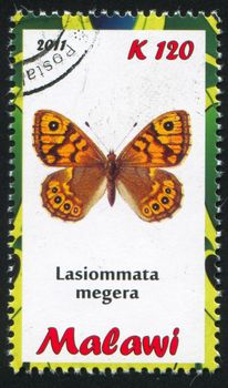 MALAWI - CIRCA 2011: stamp printed by Malawi, shows butterfly, circa 2011