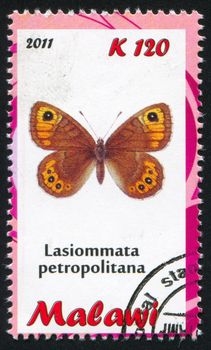 MALAWI - CIRCA 2011: stamp printed by Malawi, shows butterfly, circa 2011