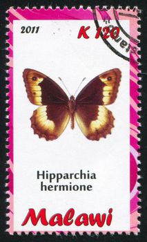 MALAWI - CIRCA 2011: stamp printed by Malawi, shows butterfly, circa 2011