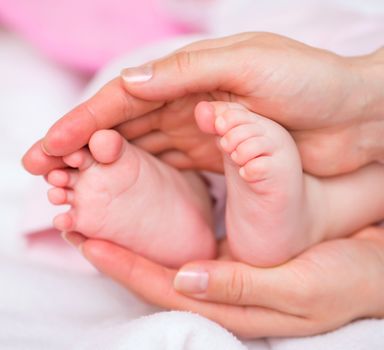 baby feet in mothers hands