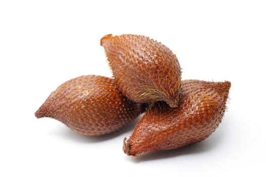 Salak Palm isolated on white background