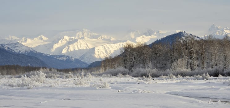 Snowcovered Mountains in  Alaska. Chilkat State Park. Mud Bay. HAINES. Alaska. USA