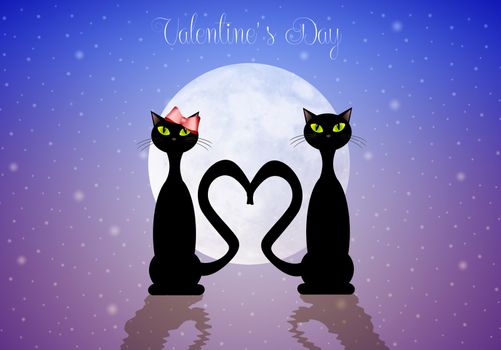 Two cats in love for Valentine's Day