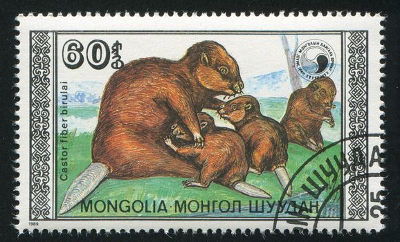 MONGOLIA - CIRCA 1989: stamp printed by Mongolia, shows Beavers with  calf, circa 1989