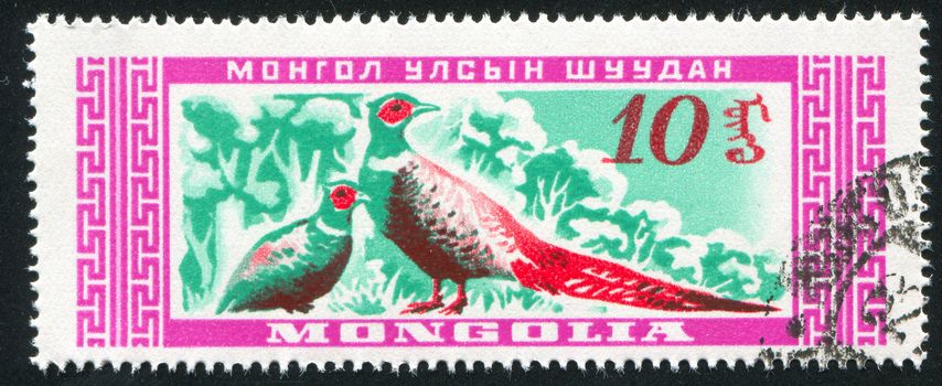 MONGOLIA - CIRCA 1959: stamp printed by Mongolia, shows Two Birds, circa 1959