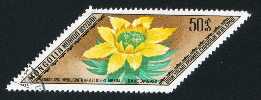 MONGOLIA - CIRCA 1975: stamp printed by Mongolia, shows  flower, circa 1975