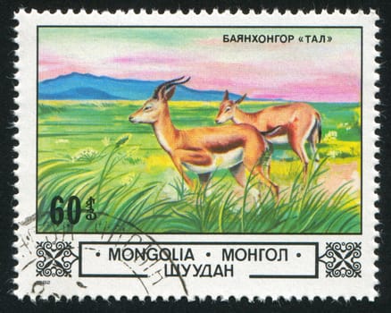 MONGOLIA - CIRCA 1982: stamp printed by Mongolia, shows  Chamois, Bajanhongor Steppe, circa 1982