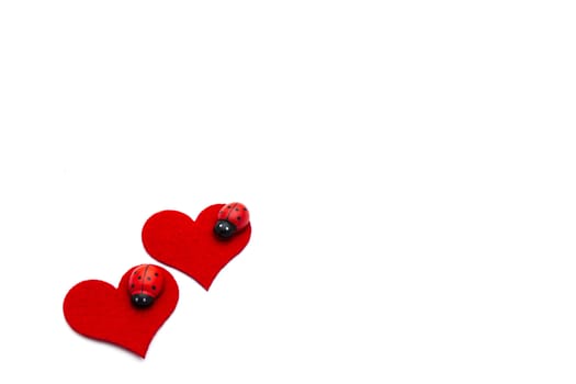 Heart and ladybug decorations on white background