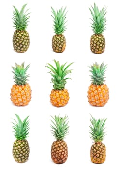 Collection of ripe tasty pineapples isolated on white background
