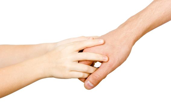 Man's hand holding a child's hand. white background