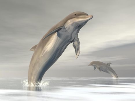 Two dolphins jumping upon the ocean by cloudy day