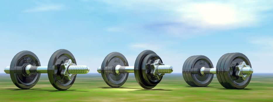 Three different dumbbells on the grass by beautiful day