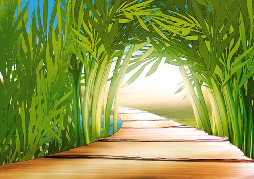 Bamboo Grove - Background Illustration