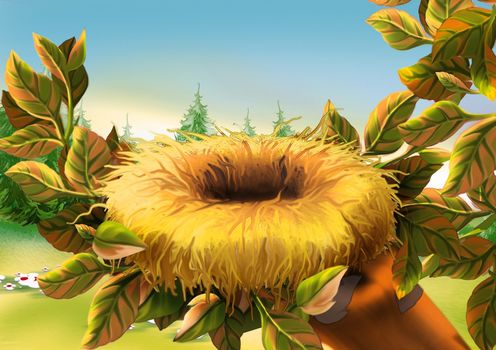 Birds Nest - Background Illustration